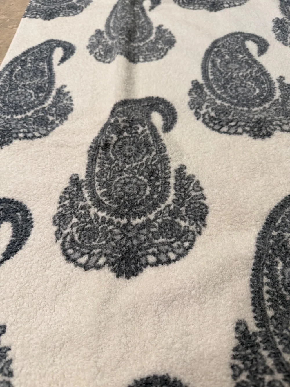 PotteryBarn Rayna Towels set of 2 blue paisley chinoiserie